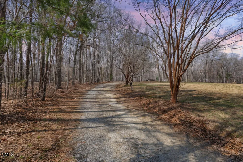 4739 Wild Azalea Place Rougemont, NC 27572