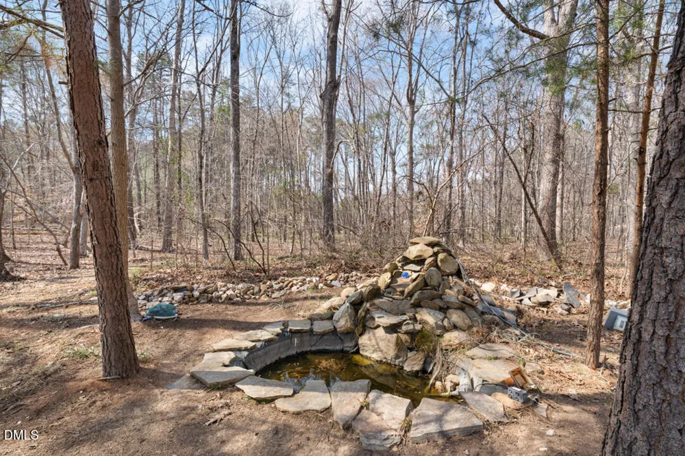 4739 Wild Azalea Place Rougemont, NC 27572