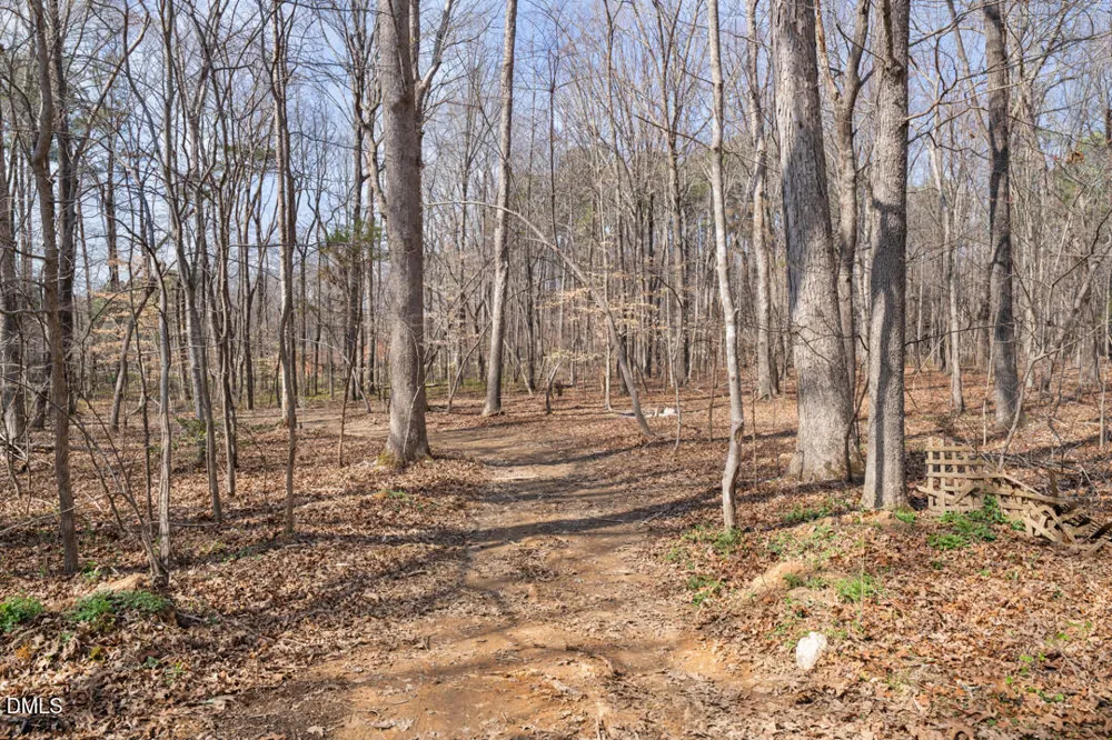 4739 Wild Azalea Place Rougemont, NC 27572