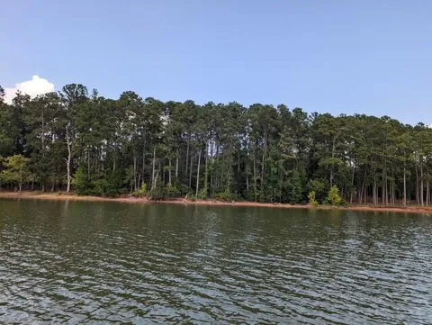 7 Hickory Knob