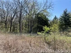 County Road 1551