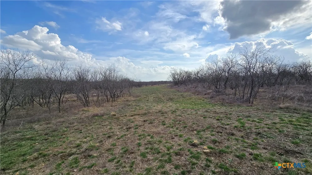 Alexander Road Moody, TX 76557