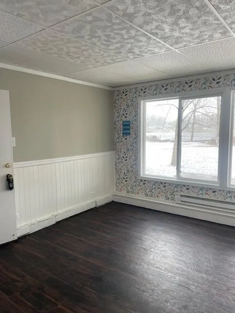 61272 Lewis Lake Road Newberg Township, MI 49095