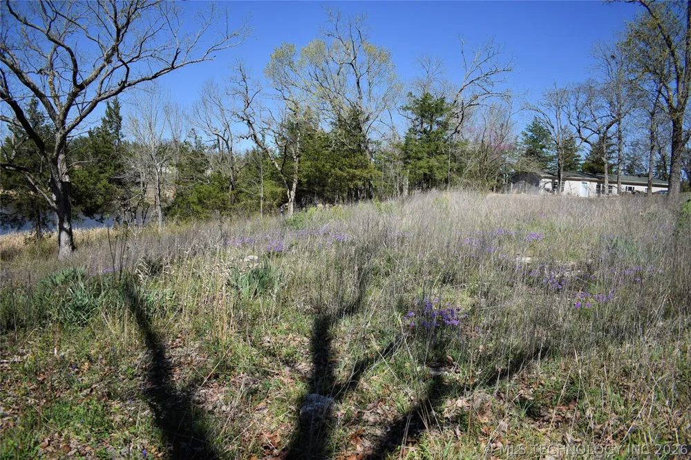 4 Holiday Acres Drive Fort Towson, OK 74735