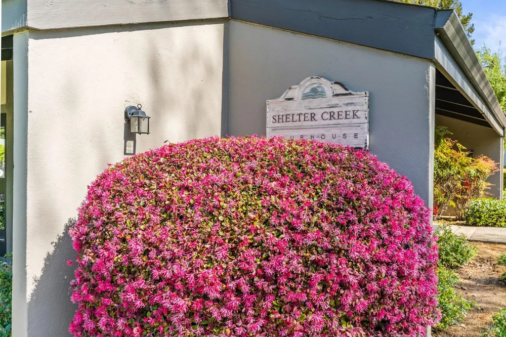 3482 Shelter Creek Drive Napa, CA 94558