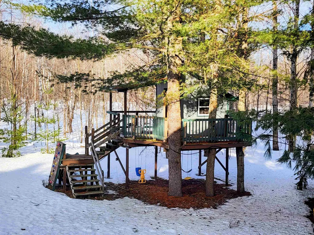 6514 Wilderness Drive Mancelona Township, MI 49659