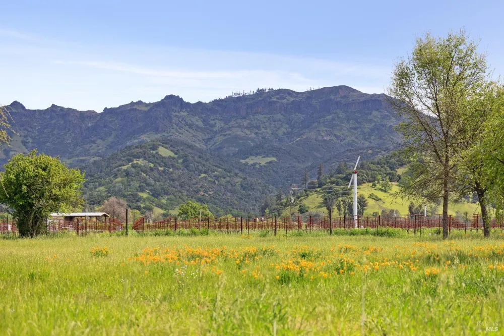 3048 Myrtledale Road Calistoga, CA 94515