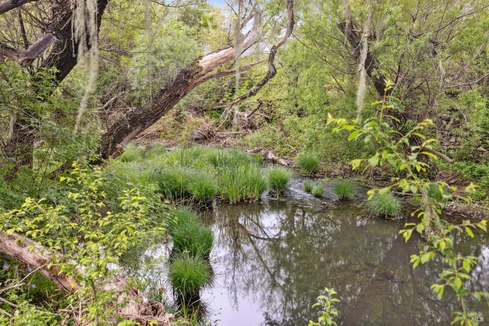 3048 Myrtledale Road Calistoga, CA 94515