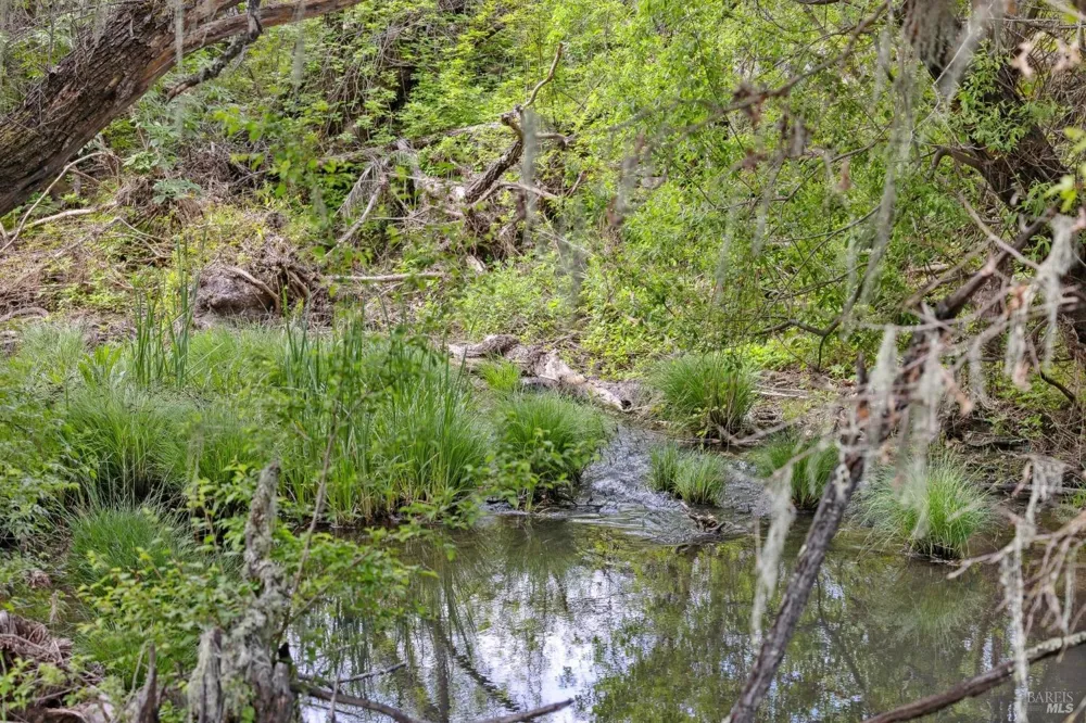 3048 Myrtledale Road Calistoga, CA 94515