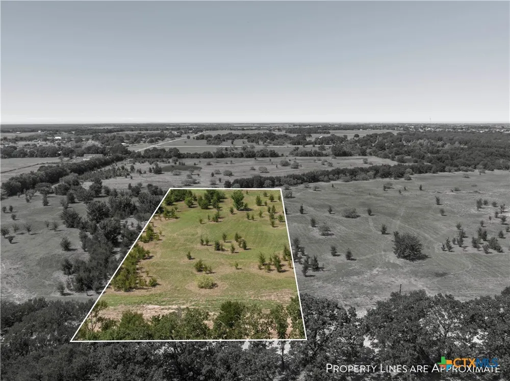 3 Buggtussle Lane West, TX 76691