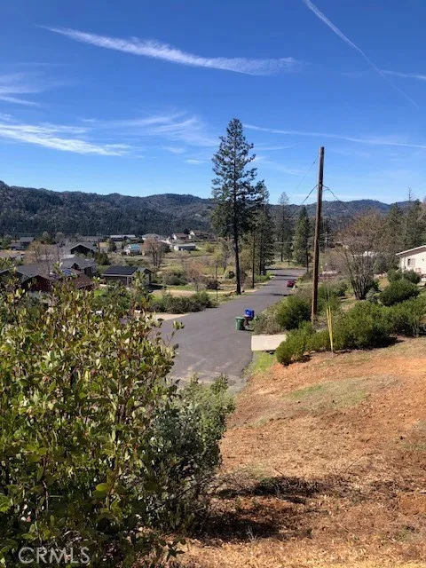9738 Hoberg Drive E Cobb, CA 95426