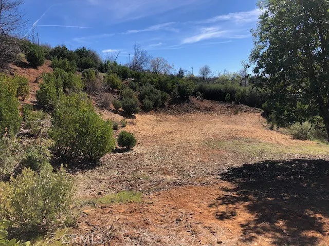 9738 Hoberg Drive E Cobb, CA 95426