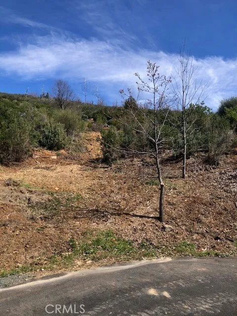 9738 Hoberg Drive E Cobb, CA 95426