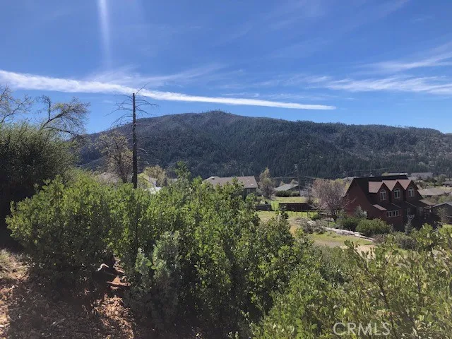 9738 Hoberg Drive E Cobb, CA 95426