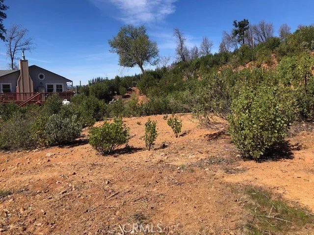 9738 Hoberg Drive E Cobb, CA 95426