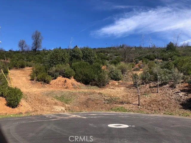9738 Hoberg Drive E Cobb, CA 95426