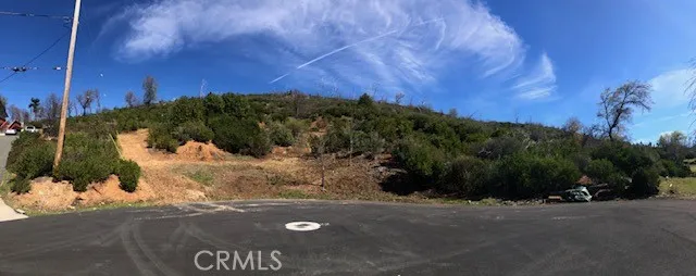 9738 Hoberg Drive E Cobb, CA 95426