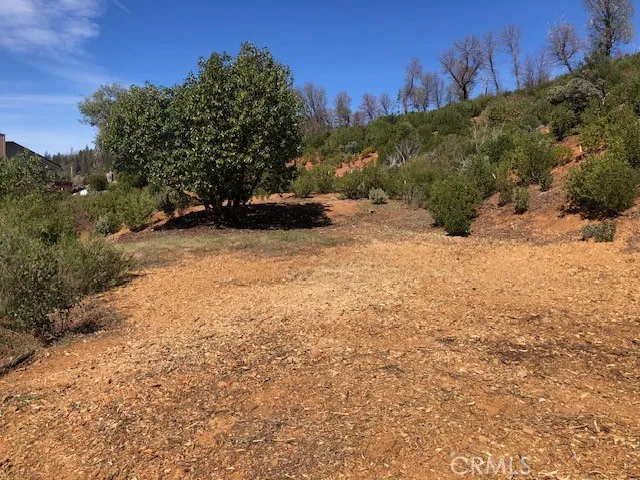 9738 Hoberg Drive E Cobb, CA 95426