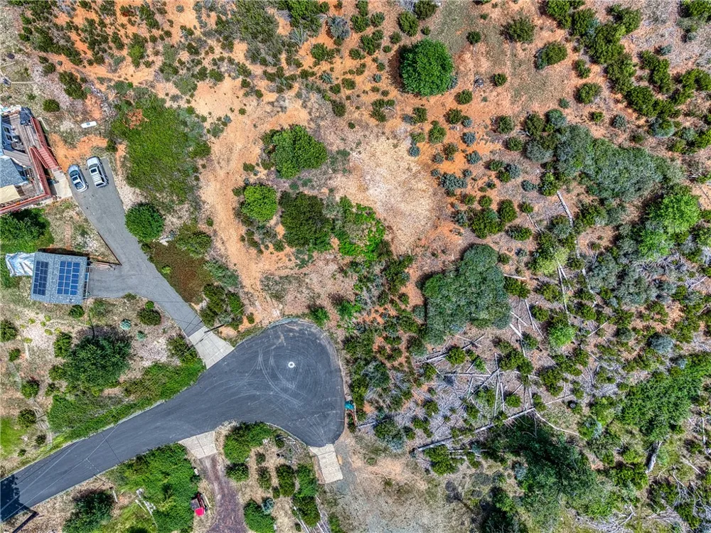 9738 Hoberg Drive E Cobb, CA 95426