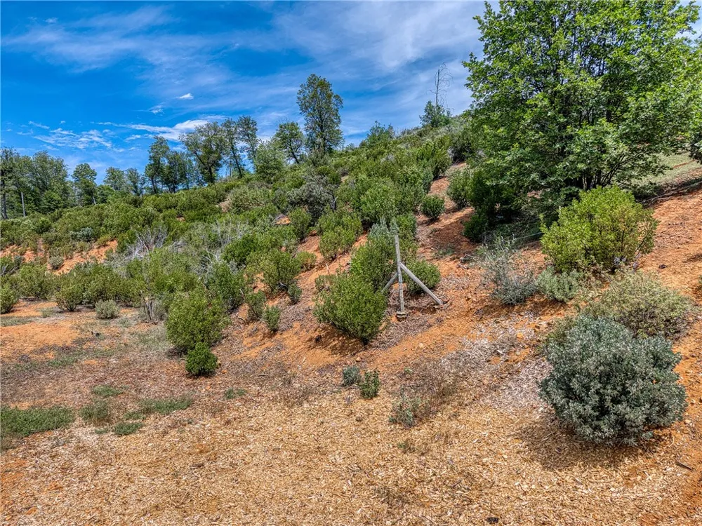 9738 Hoberg Drive E Cobb, CA 95426