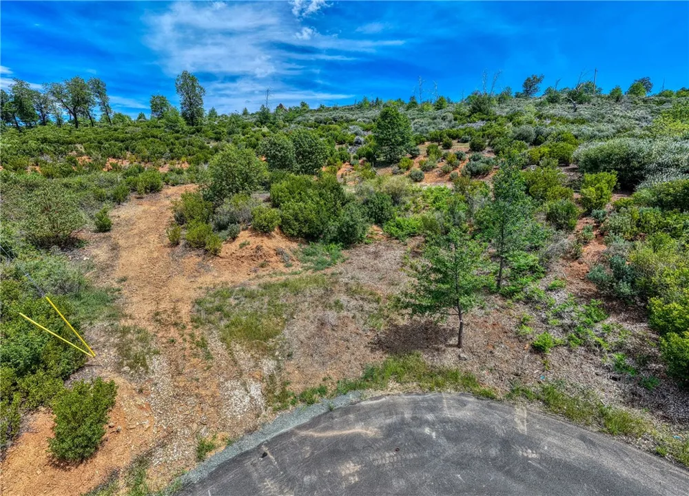 9738 Hoberg Drive E Cobb, CA 95426
