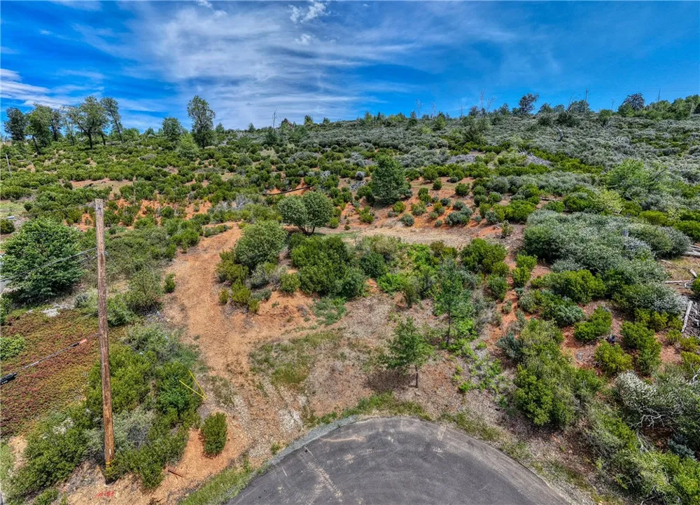 9738 Hoberg Drive E Cobb, CA 95426