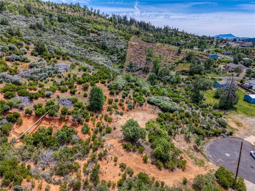 9738 Hoberg Drive E Cobb, CA 95426