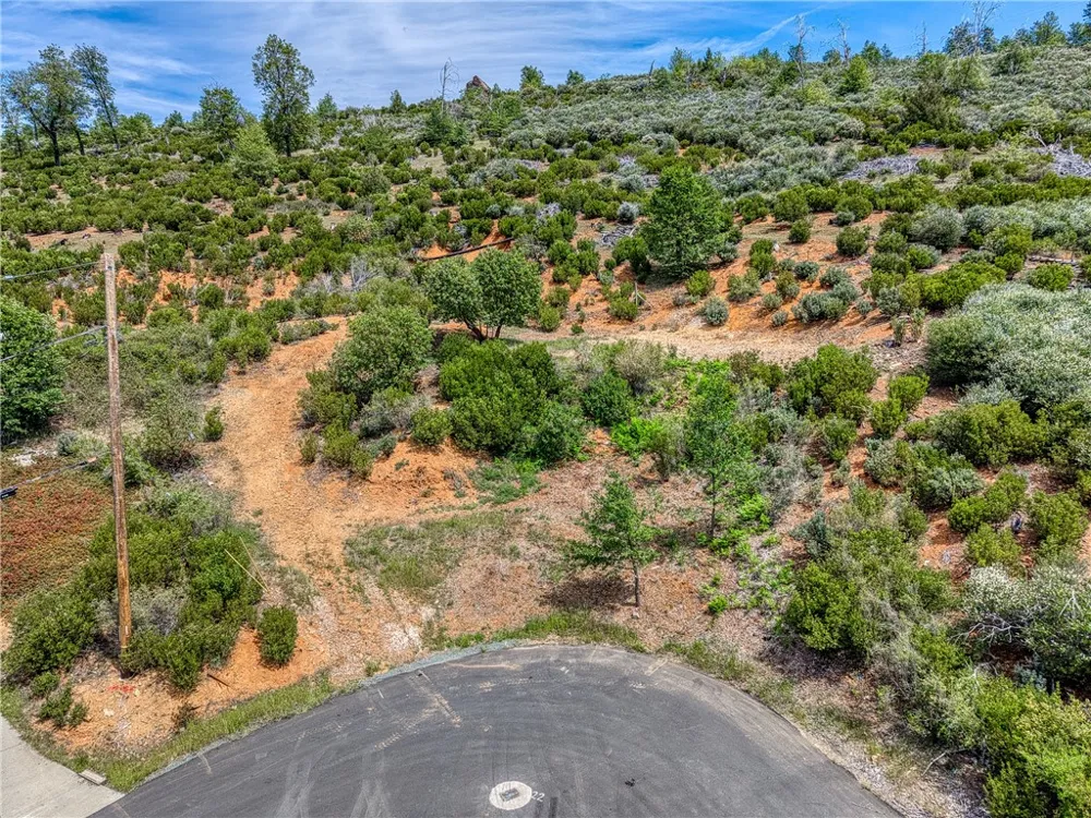 9738 Hoberg Drive E Cobb, CA 95426