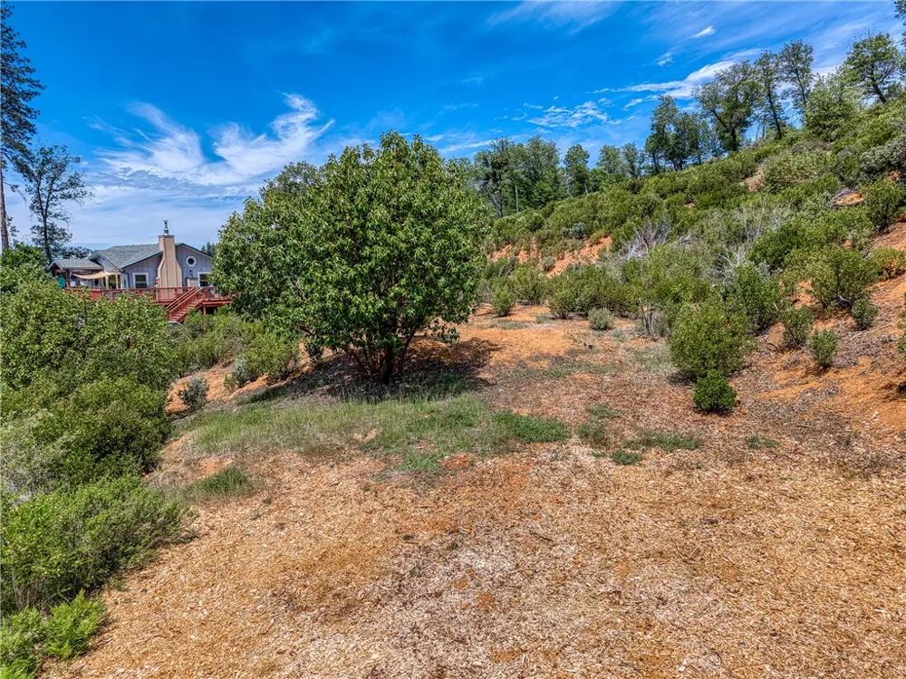 9738 Hoberg Drive E Cobb, CA 95426
