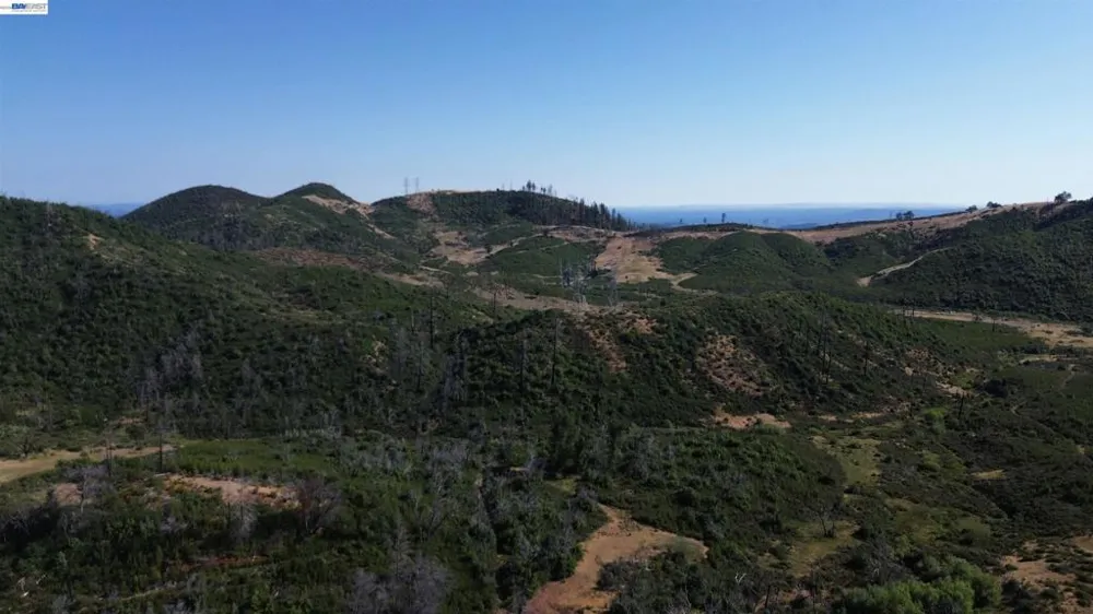 11311 Pine Flat Healdsburg, CA 95448