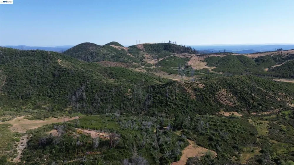 11311 Pine Flat Healdsburg, CA 95448