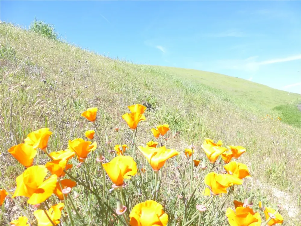 Douglas Rd. (Lots 28, 33 & 34) San Miguel, CA 93451