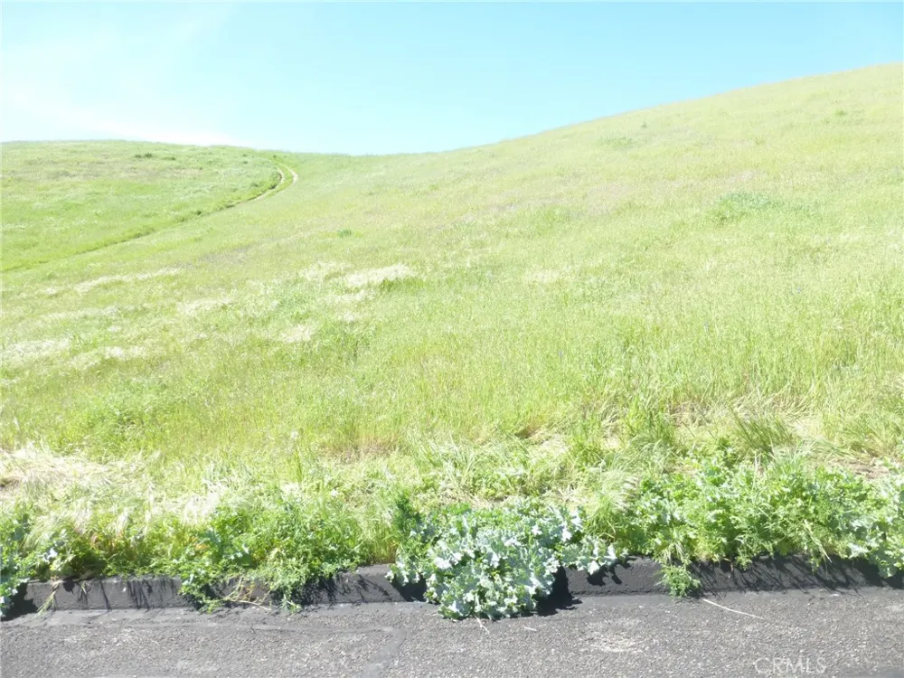 Douglas Rd. (Lots 28, 33 & 34) San Miguel, CA 93451