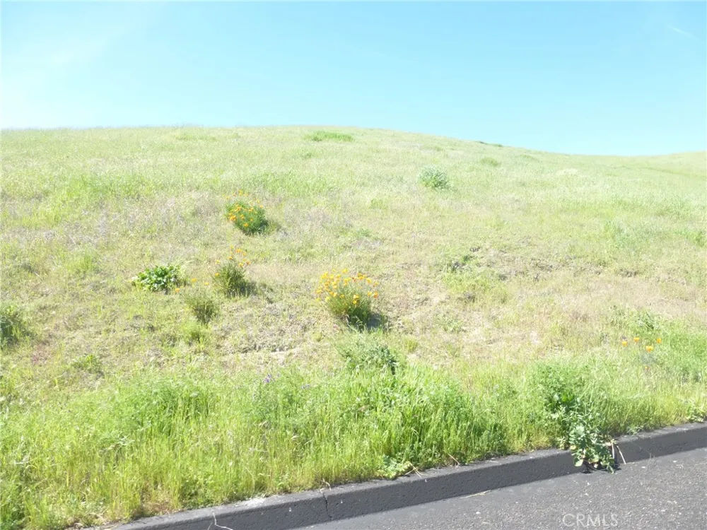 Douglas Rd. (Lots 28, 33 & 34) San Miguel, CA 93451