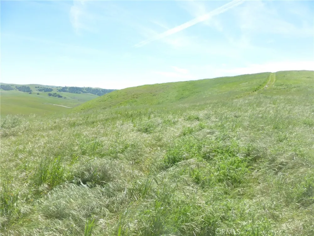 Douglas Rd. (Lots 28, 33 & 34) San Miguel, CA 93451