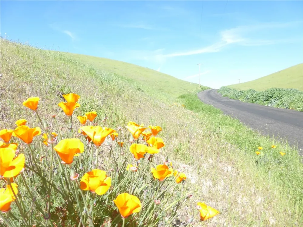 Douglas Rd. (Lots 28, 33 & 34) San Miguel, CA 93451