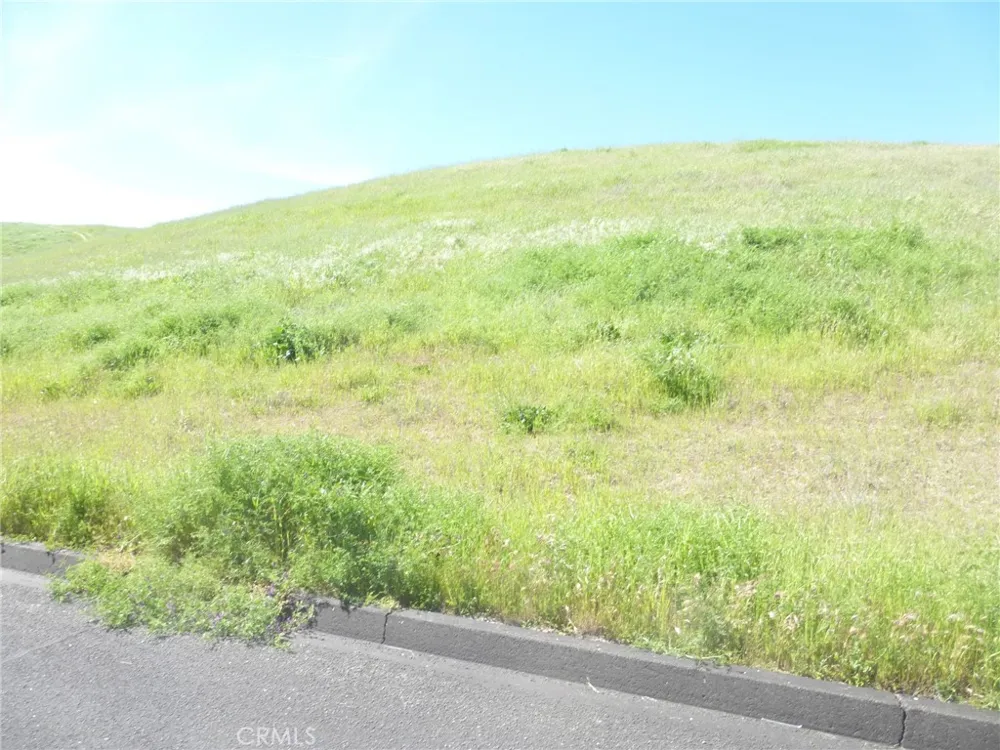 Douglas Rd. (Lots 28, 33 & 34) San Miguel, CA 93451