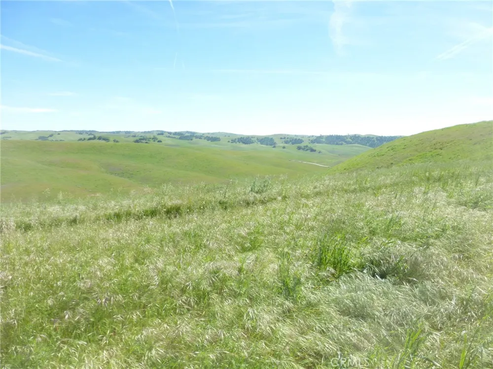 Douglas Rd. (Lots 28, 33 & 34) San Miguel, CA 93451