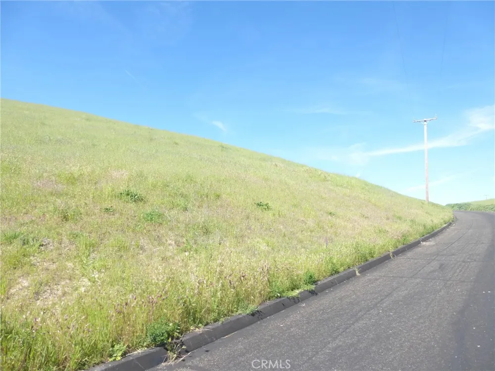 Douglas Rd. (Lots 28, 33 & 34) San Miguel, CA 93451