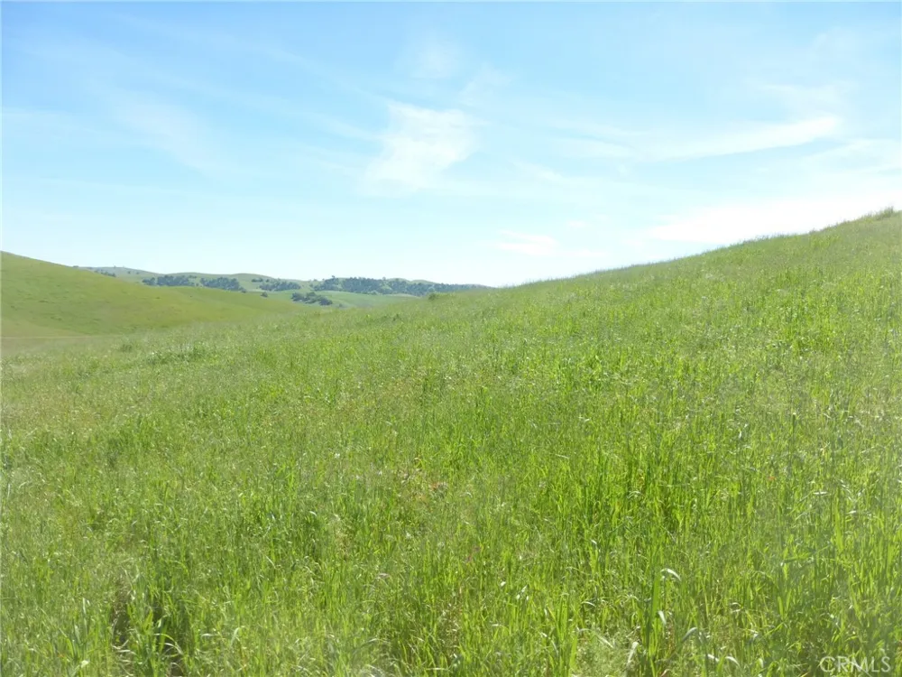 Douglas Rd. (Lots 28, 33 & 34) San Miguel, CA 93451