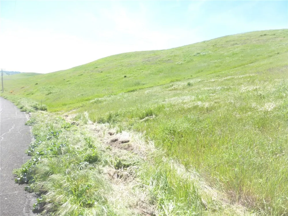 Douglas Rd. (Lots 28, 33 & 34) San Miguel, CA 93451