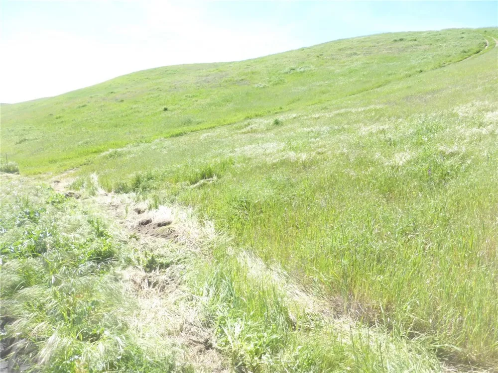 Douglas Rd. (Lots 28, 33 & 34) San Miguel, CA 93451