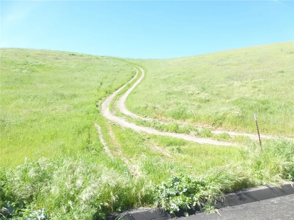 Douglas Rd. (Lots 28, 33 & 34) San Miguel, CA 93451