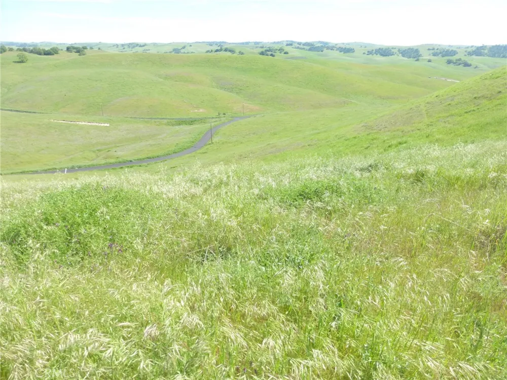 Douglas Rd. (Lots 28, 33 & 34) San Miguel, CA 93451