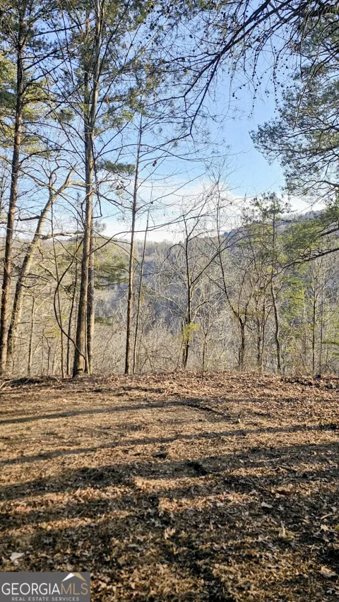 137 Abe CT