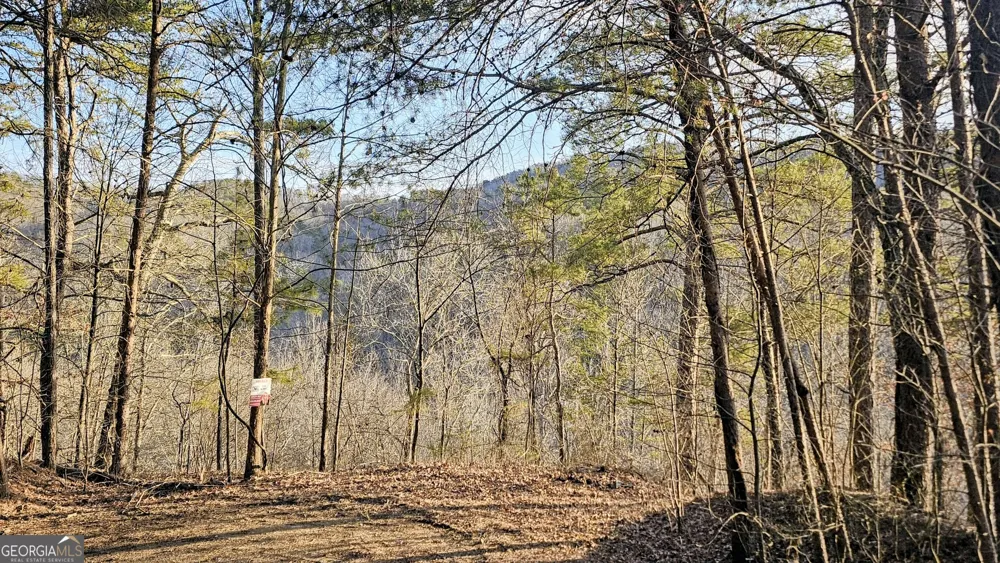 137 Abe CT Ranger, GA 30734