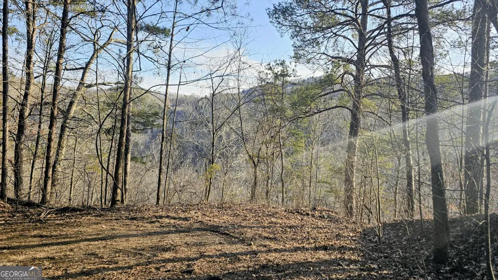 137 Abe CT Ranger, GA 30734