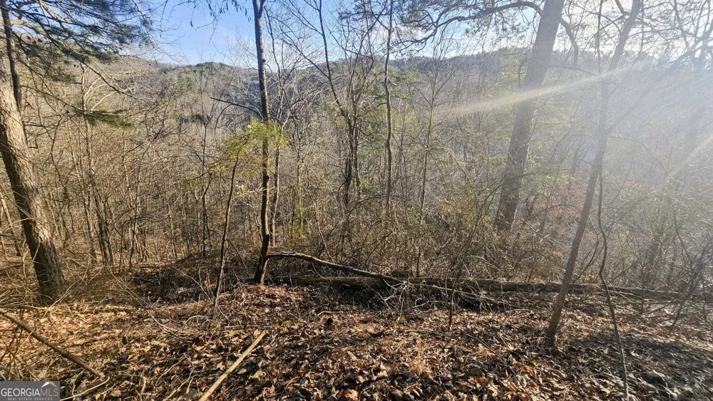 137 Abe CT Ranger, GA 30734