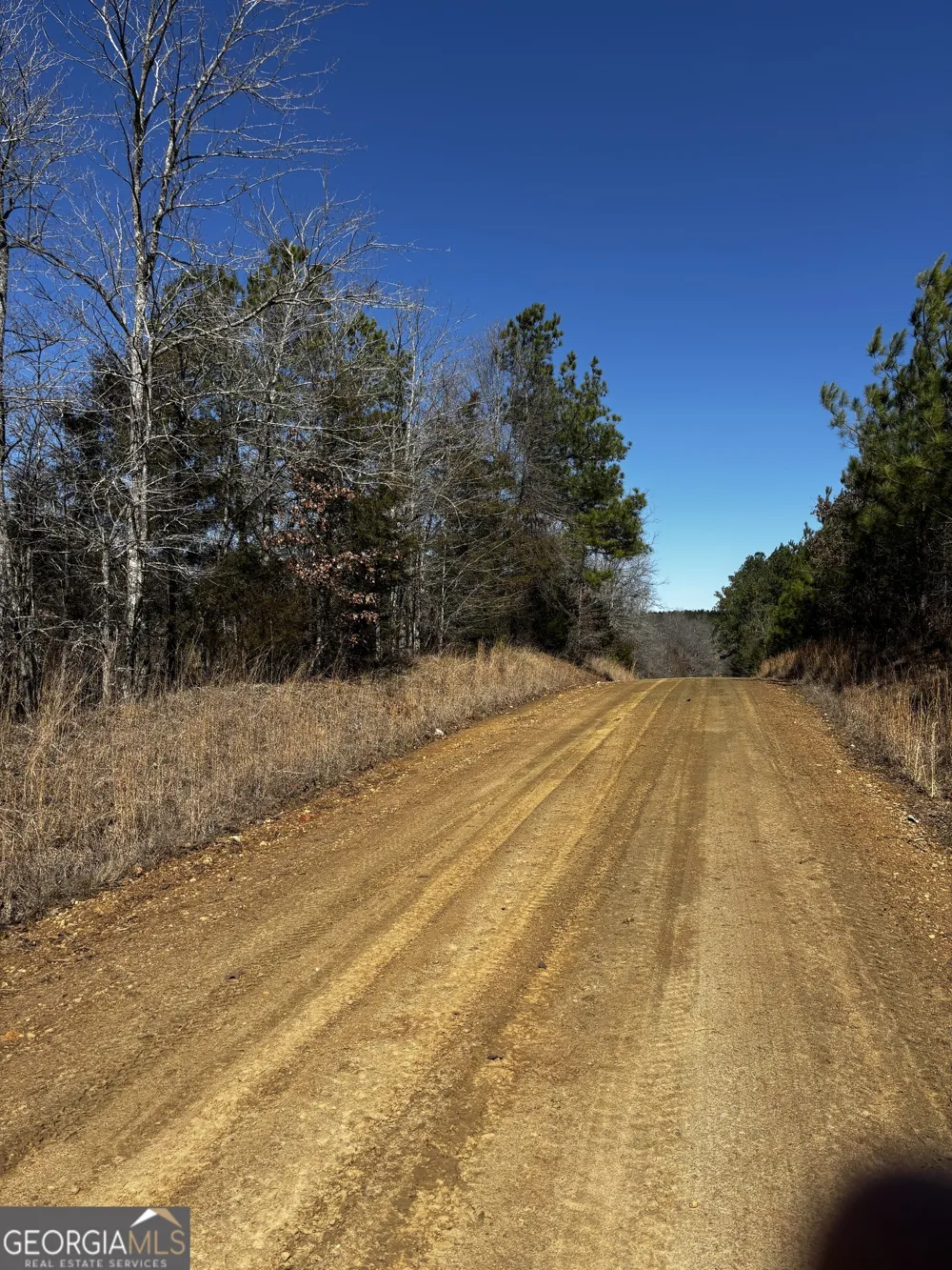 0 Thaxton RD Rayle, GA 30660