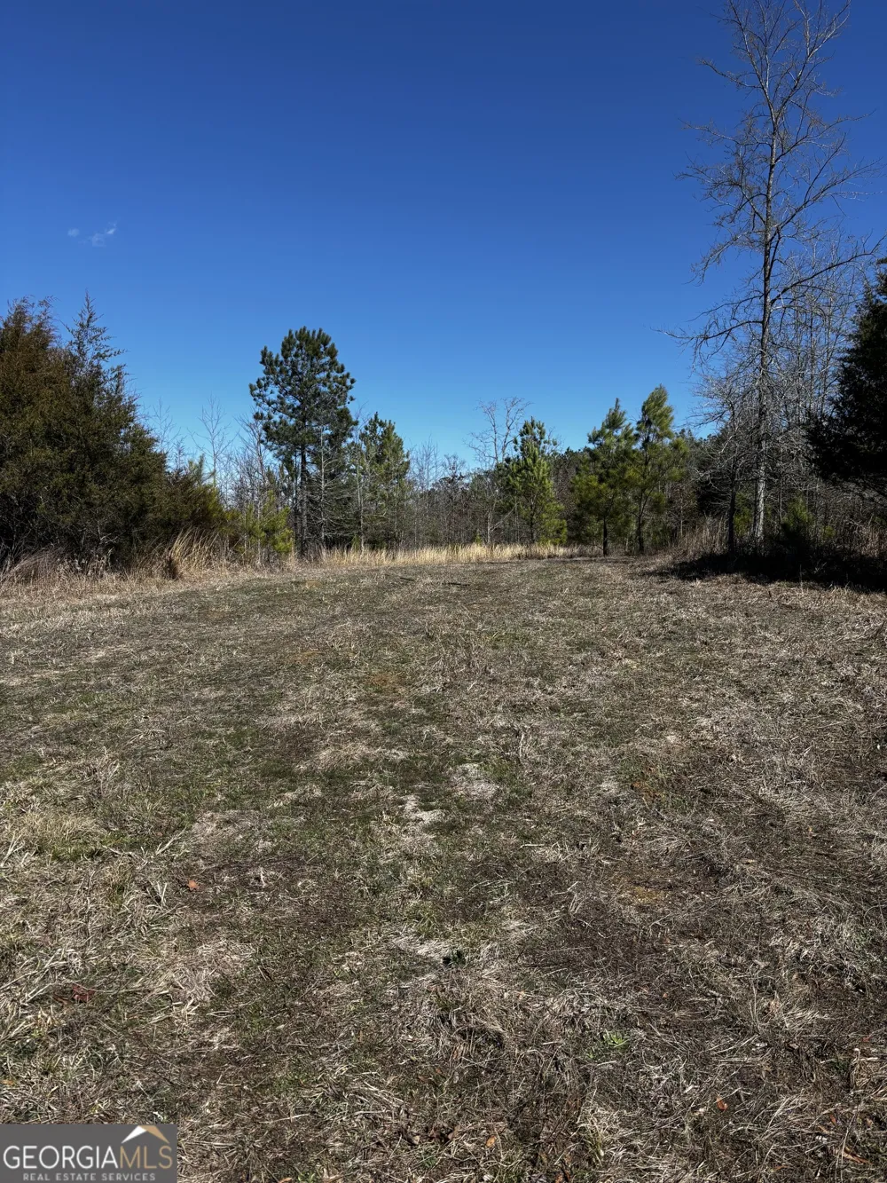 0 Thaxton RD Rayle, GA 30660